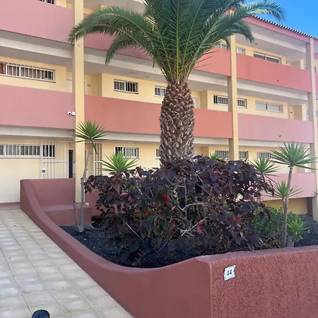 Apartment Roque Del Conde Sunsets