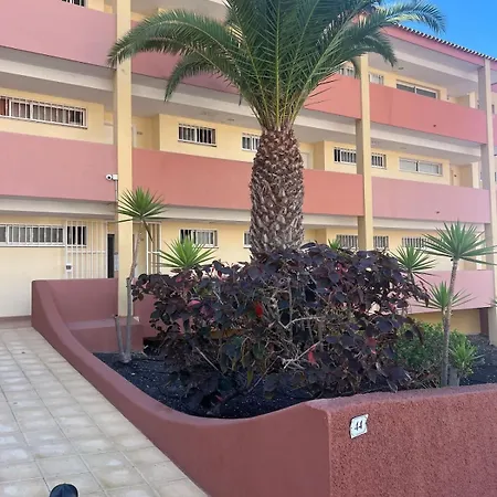 Roque Del Conde Sunsets Apartment